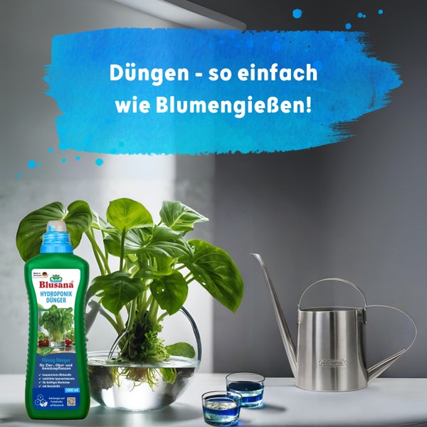 Blusana Hydroponik Flüssigdünger NPK 7-3-6 Spezialdünger für Zierpflanzen Obst- und Gemüse in Nährlösung 1l – gesundes Wachstum & reicher Ertrag