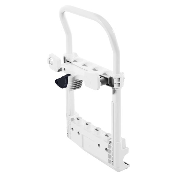 Blütenstände der Bergenie im Detail