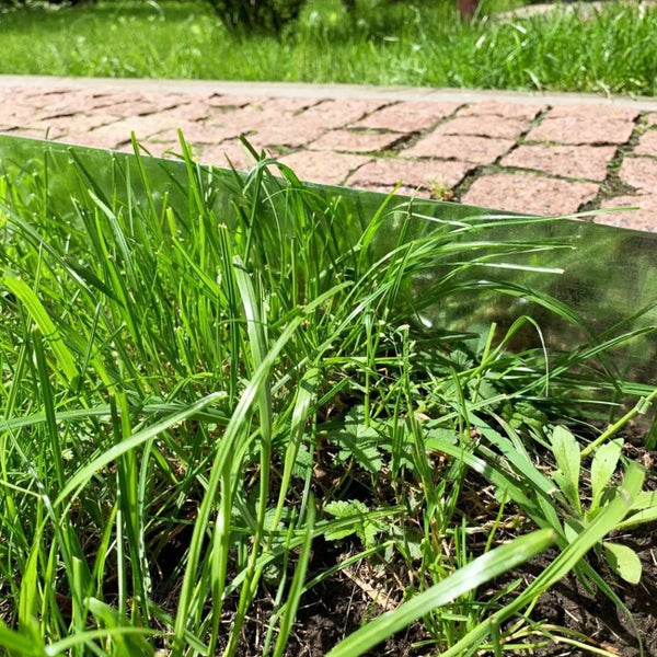 Rasenkante aus Metall im Gartenbeet