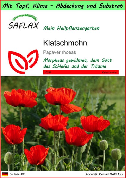 SAFLAX Garden to go - Klatschmohn - Papaver rhoeas - 27000 Samen - Mit Topf, Klima - Deckel und Anzuchtsubstrat