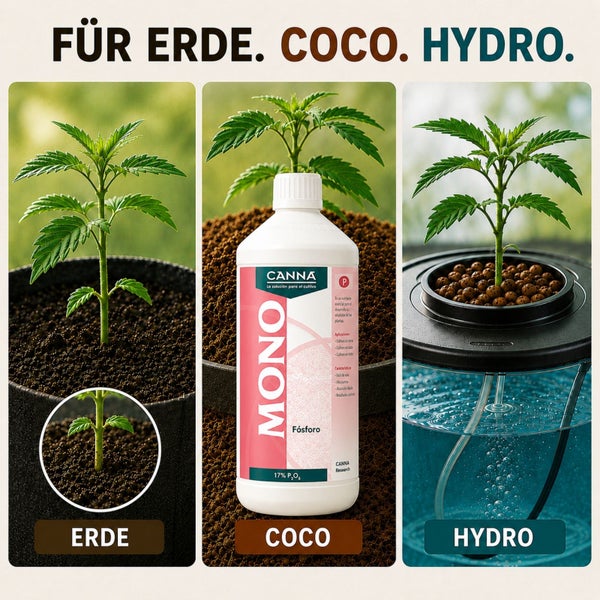 Canna Mono Phosphor Pflanzendünger für Erde, Kokos und Hydrokulturen in drei Anbauszenarien dargestellt.