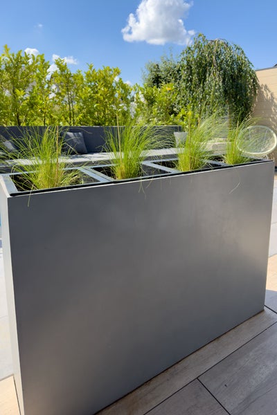 Moderner, rechteckiger grauer Pflanzkübel mit Ziergräsern auf einer sonnigen Terrasse mit Loungemöbeln und Gartenpflanzen.