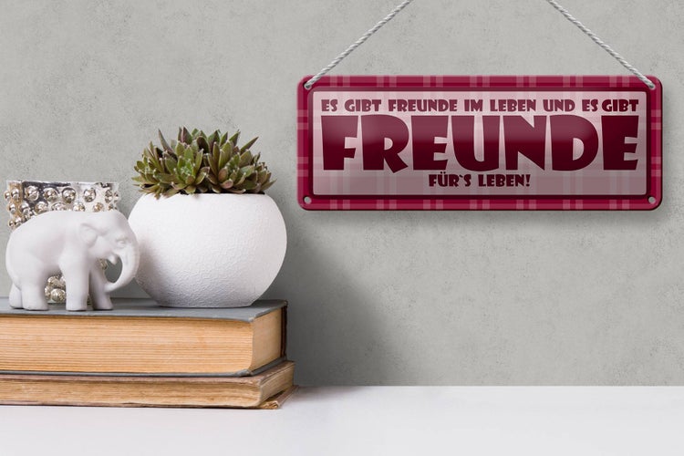 Blechschild Spruch 27x10cm Es gibt Freunde im Leben Dekoration