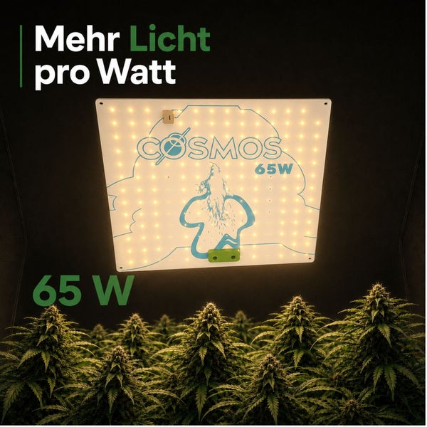 Cosmos Pflanzenlampe 65 Watt über Pflanzen mit Cosmos Logo.