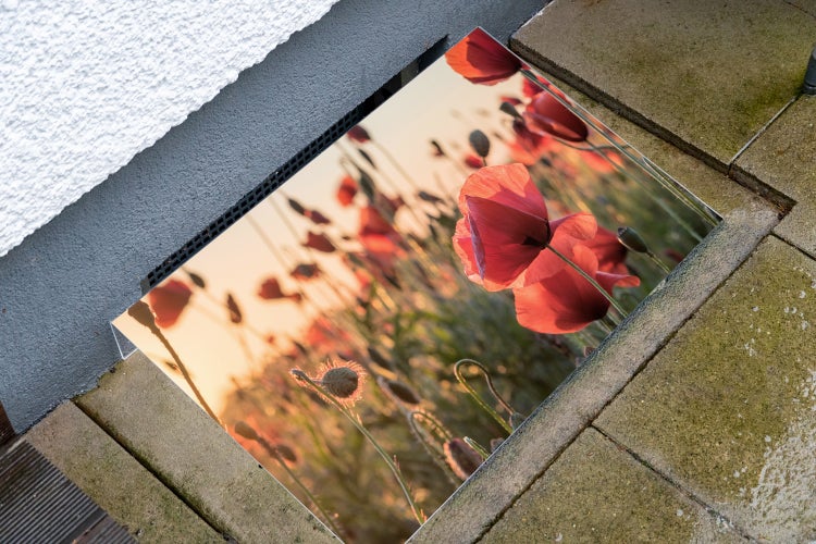 Lichtschachtabdeckung aus Acryl | Kellerschacht-Abdeckung | Schneeschutz | Regenschutz | Schutz gegen Schmutz, Schimmel, Laub und Schnee | Mohnblumen | Feld | Pflanzen | Dekorativ mit Motiv 120x45 cm