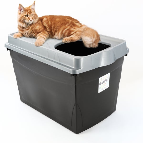 Schwarze Katzentoilette aus Kunststoff mit grauem Top-Entry Deckel und einer darauf sitzenden orangefarbenen Katze.