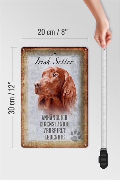 Blechschild Spruch 20x30cm Irish Setter Hund Schild