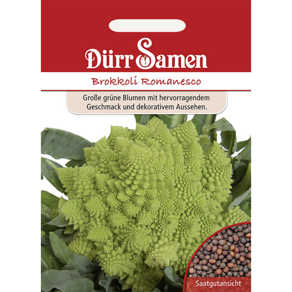 Brokkoli Romanesco Saatgut von Dürr Samen