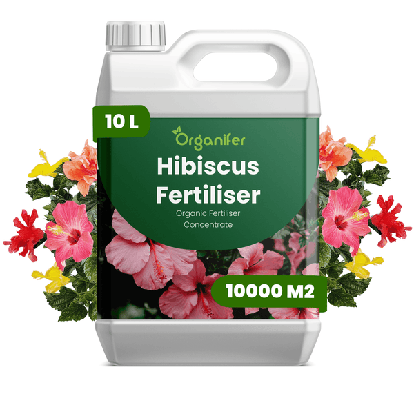Organifer Hibiskus-Dünger, organisches Düngerkonzentrat im 10 Liter Kanister, ausreichend für 10000 Quadratmeter.