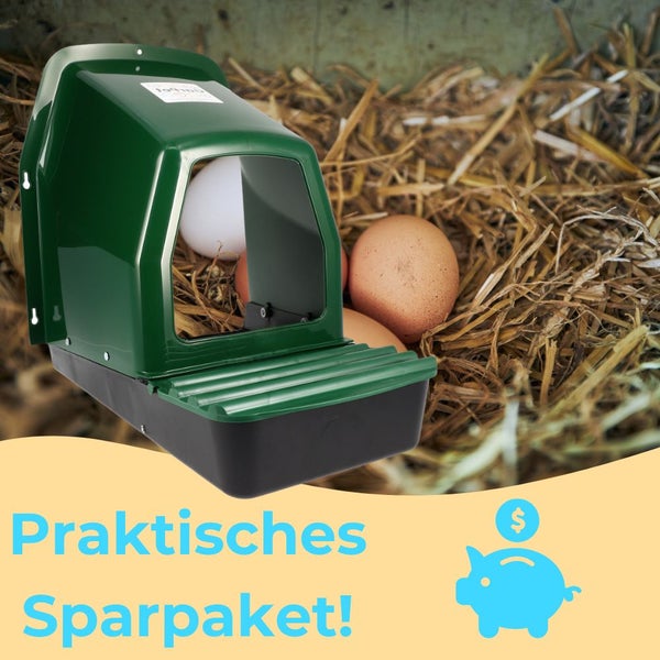 Bild eines Legenestes mit Eiern im Stroh