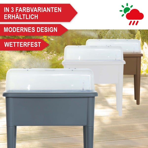Hochbeet mit transparenter Abdeckung in drei Farben erhältlich, wetterfestes und modernes Design für Garten oder Terrasse.