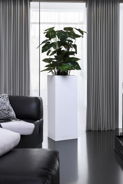 Hoher weißer Pflanzkübel in Säulenform mit einer Zimmerpflanze in einem modern gestalteten Wohnzimmer.