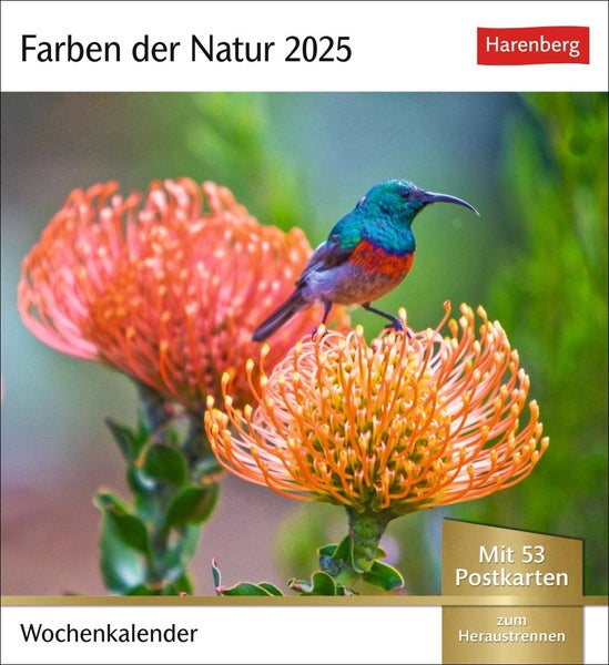 Farben der Natur Postkartenkalender 2025 Farbenprächtige Naturaufnahmen in einem Fotokalender im Postkartenformat. Tischkalender zum Aufstellen mit 53 Postkarten