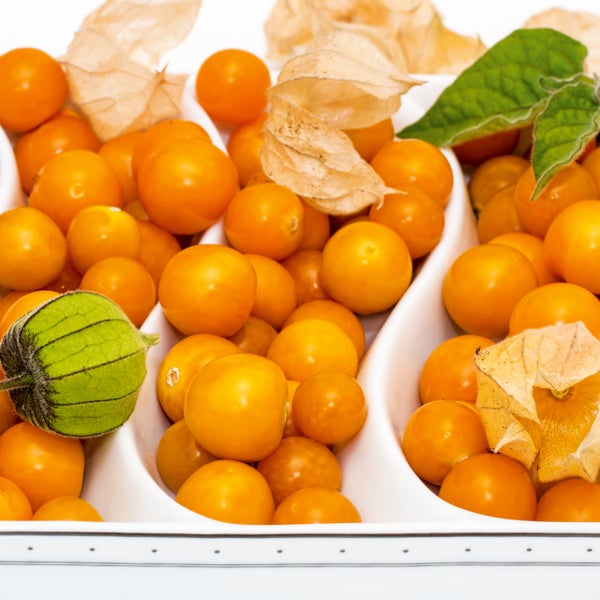 Reife orangefarbene Physalis-Früchte in einer weißen Schale, teilweise mit Hüllen und einem grünen Blatt.