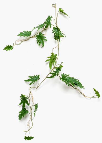 Künstliche Philodendron-Ranke mit gezackten grünen Blättern und verzweigten Stielen.