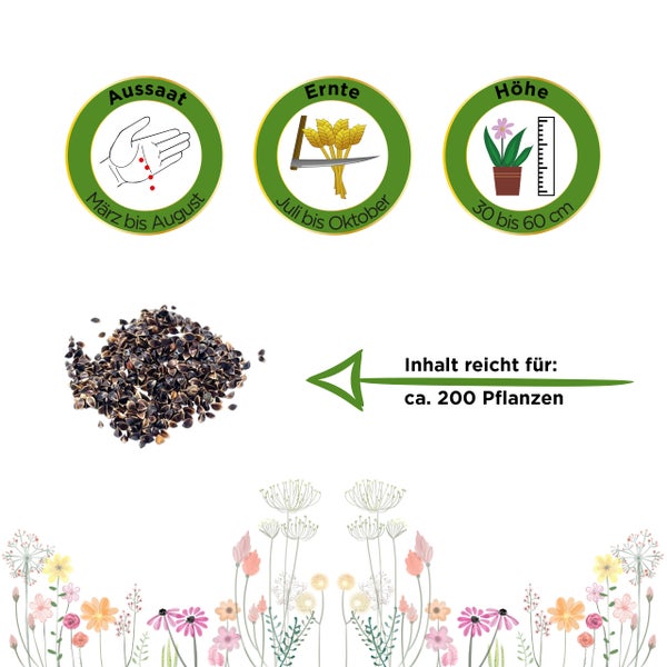 Aussaat von März bis August, Ernte von Juli bis Oktober, Wuchshöhe 30 bis 60 Zentimeter, Inhalt reicht für circa 200 Pflanzen.