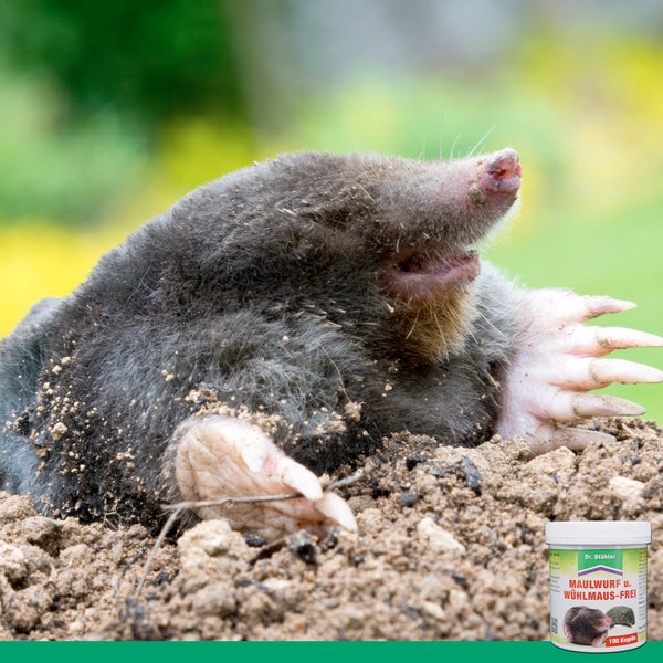 Maulwurf- und Wühlmausfrei Kugeln - Effektiver Schutz gegen Wühlmäuse und Maulwürfe - Für Garten, Wege & Grünflächen - Mit Eukalyptusöl - Langzeitwirkung bis 85 Tage