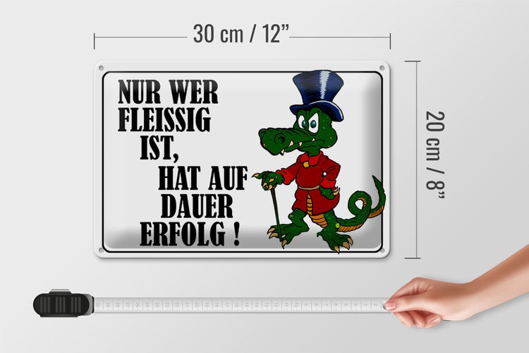 Blechschild Spruch 30x20cm Nur wer fleissig ist hat Erfolg