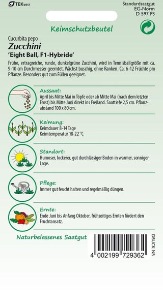 Zucchinisaatgut Eight Ball F1-Hybride im Keimschutzbeutel
