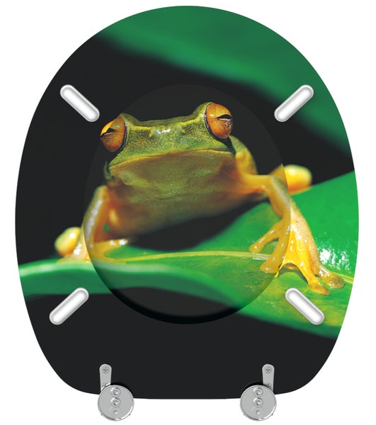 WC-Sitz Frosch-Grün
