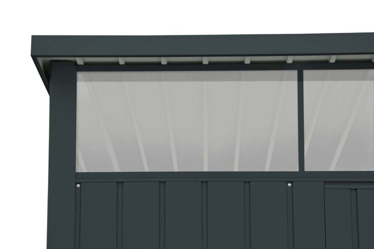 Olivenbaum Olea europaea im schwarzen Pflanztopf mit dichtem Blattwerk und dickem Stamm.