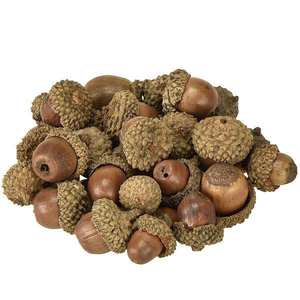 Herbstliche Dekoration mit einer brennenden grauen Stumpenkerze in einer Metallschale, Eicheln, Moos und einem Deko-Pilz aus Holz.