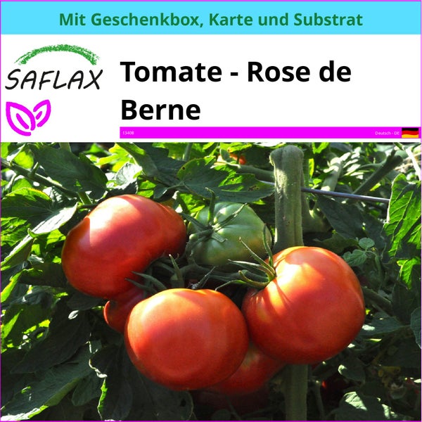 SAFLAX Geschenk Set - Tomate - Rose de Berne - Lycopersicon esculentum - 10 Samen - Mit Geschenkbox, Versandaufkleber, Geschenkkarte und Anzuchtsubstrat