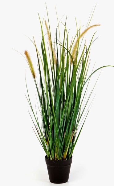 Künstliche Graspflanze im schwarzen Kunststofftopf mit hellen Blütenwedeln.