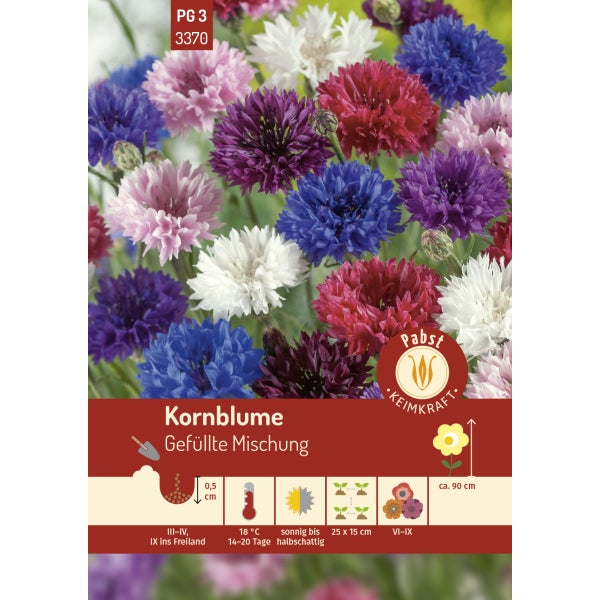 Kornblume Gefüllte Mischung Samen von Pabst Keimkraft