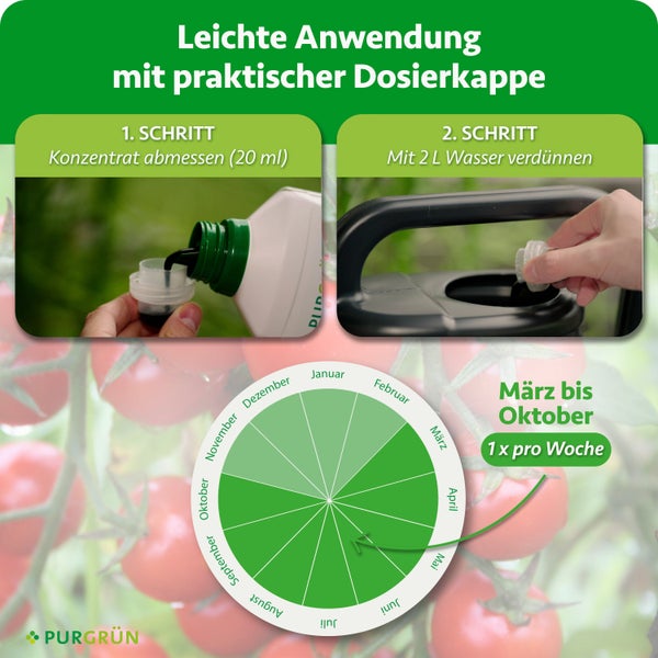 Anwendungshinweise für Purgrün Flüssigdünger mit Dosierschritte für Konzentrat und Bewässerung sowie Saisonkalender von März bis Oktober.