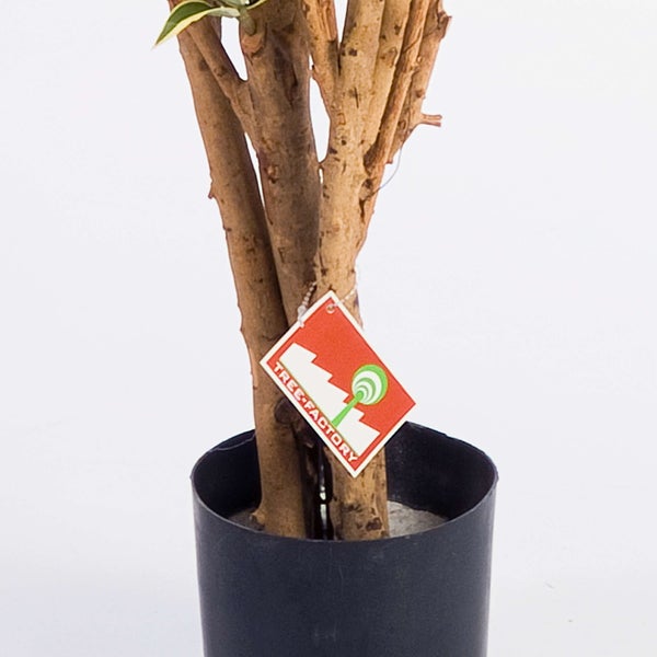 Künstlicher Buchsbaumbaum mit runder Kugelkrone und Holzstamm in schwarzem Topf