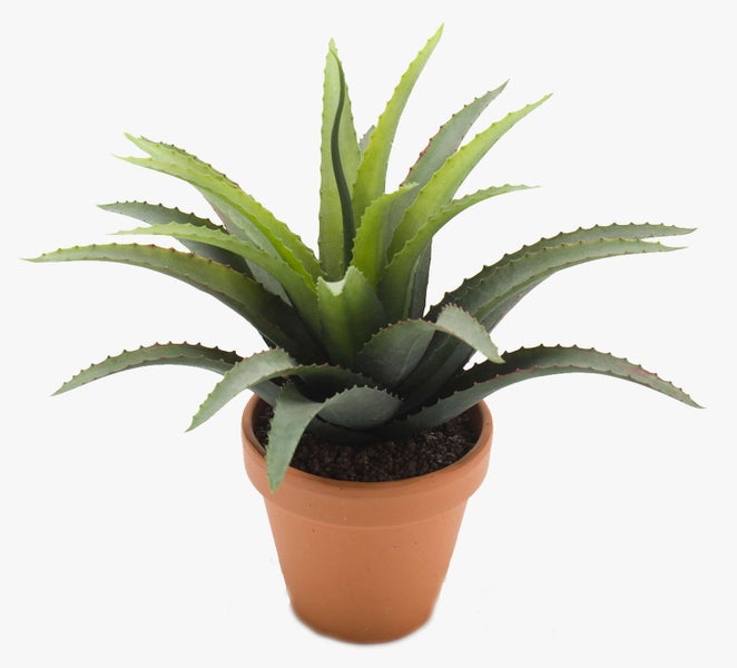 Künstliche Agave im Terrakottatopf mit dunklem Zierkies