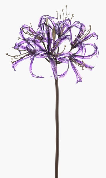 Violette Kunstblume Nerine mit langem Stiel und filigranen Blütenblättern.