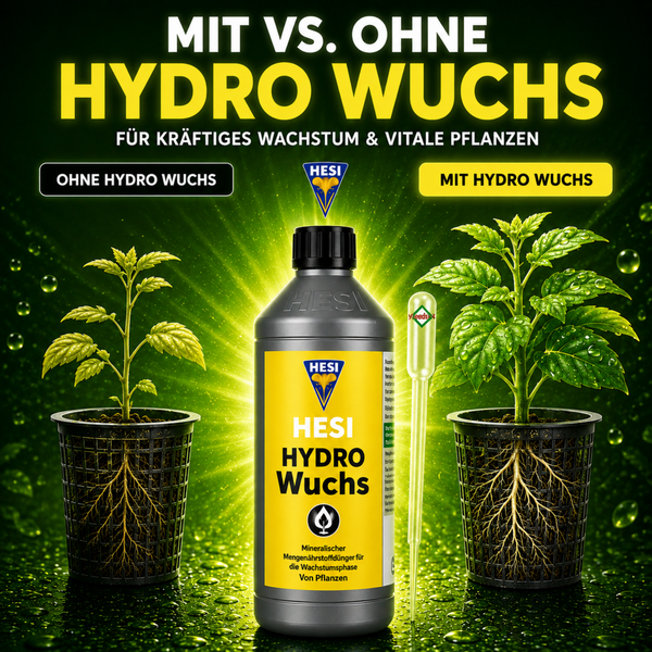 Hesi Hydro Wuchs Pflanzendünger Vergleichsbild zur Veranschaulichung des Wachstums mit und ohne Mineralstoffdünger für die Wachstumsphase.