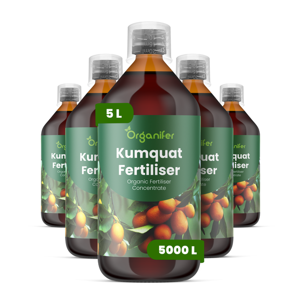 Organifer Kumquat-Dünger, organisches Düngerkonzentrat, 5 Liter für circa 5000 Liter.