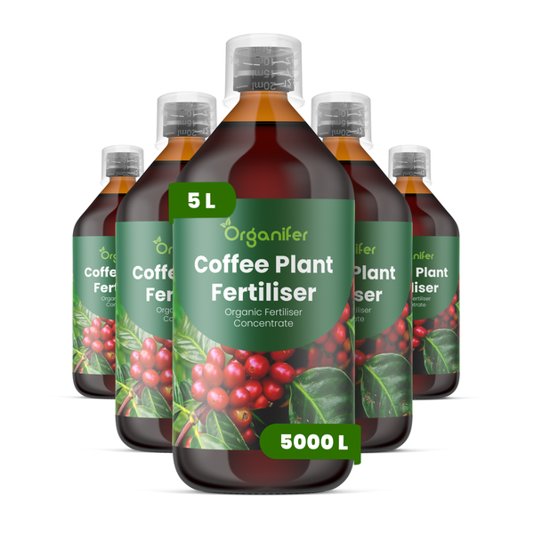 Organifer Kaffeepflanzendünger, organisches Düngerkonzentrat, 5 Liter Flasche, ausreichend für circa 5000 Liter Gießwasser.