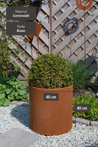 Zylindrischer Pflanzkübel aus braunem Cortenstahl, Durchmesser 40 Zentimeter, Höhe 40 Zentimeter, bepflanzt in einem Garten.