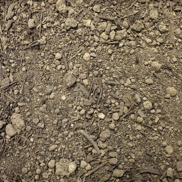 Knipex Präzisionspinzette 92 81 02 aus rostfreiem Edelstahl mit spitzen schwarzen Kunststoffspitzen.