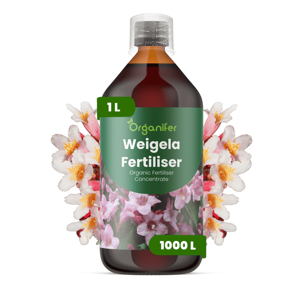 Organifer Weigelien-Dünger, 1 Liter Flasche, organisches Flüssigdünger-Konzentrat, ausreichend für 1000 Liter Gießwasser.