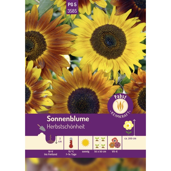 Sonnenblume Herbstschönheit Samen von Pabst Keimkraft