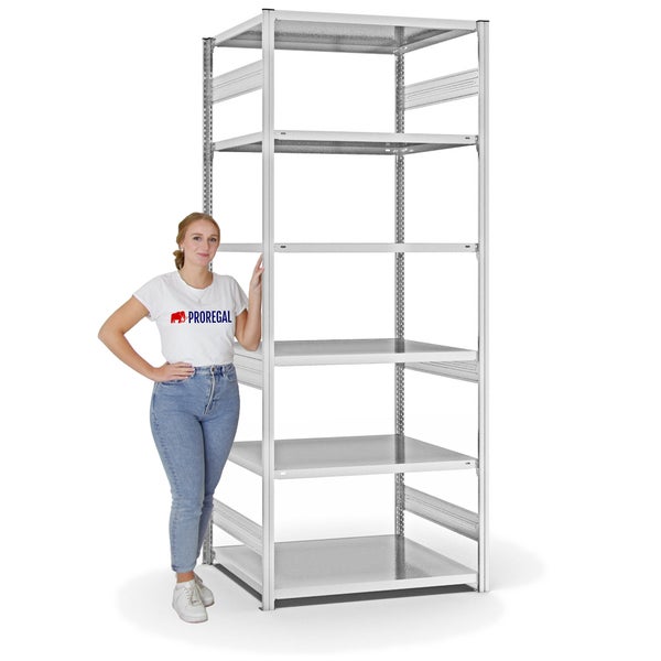 PROREGAL Fachbodenregal Stecksystem T-Profil Medium-Duty Grundregal HxBxT 250 x 100 x 80 cm 6 Ebenen Fachlast 230 kg Beidseitig Nutzbar Lichtgrau