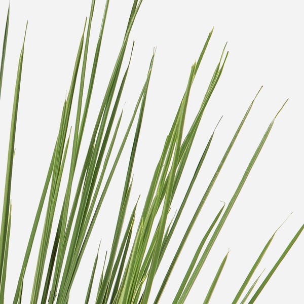 Nahaufnahme eines grünen Blattes einer Kunstpflanze mit sichtbarer Blattstruktur und Stiel.