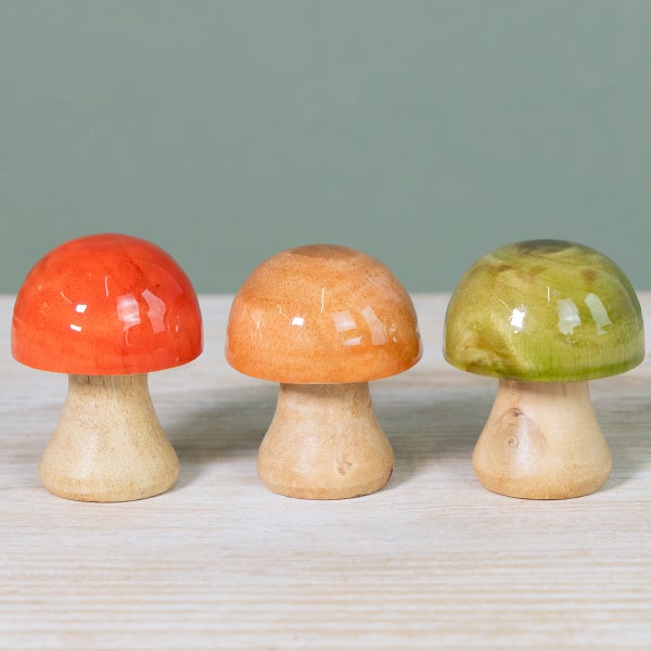 Drei dekorative Holzpilze