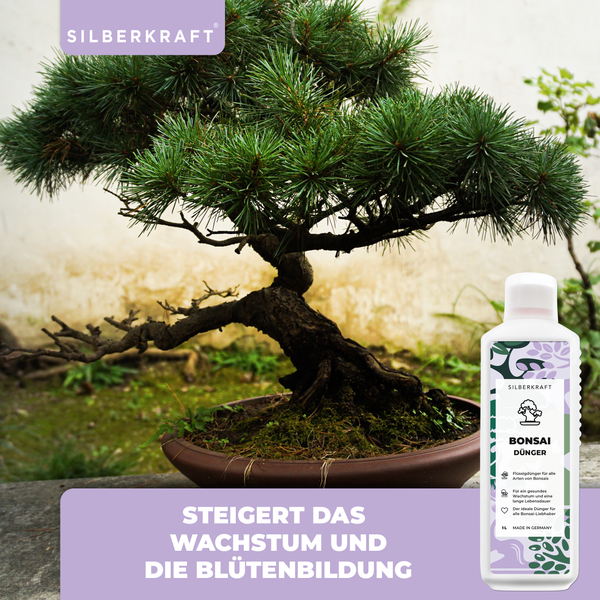 SILBERKRAFT Bonsai Bio-Dünger – 1 Liter
