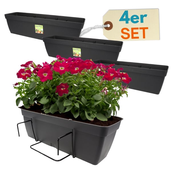 Vierer-Set Blumenkästen mit Halterung und roter Bepflanzung