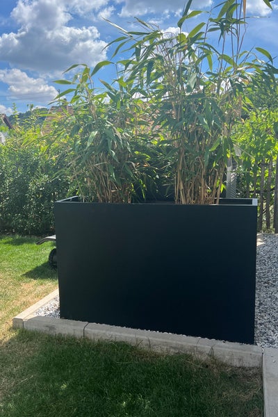 Schwarzer rechteckiger Pflanzkübel aus Metall mit Bambuspflanzen im Garten auf einer Kiesfläche.