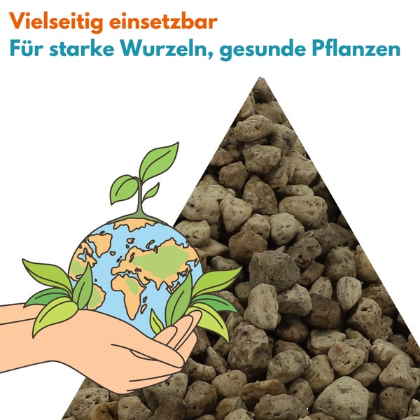 Illustration einer Hand, die eine Weltkugel mit Pflanzen hält, neben einer Nahaufnahme von Bimsstein für Pflanzen.