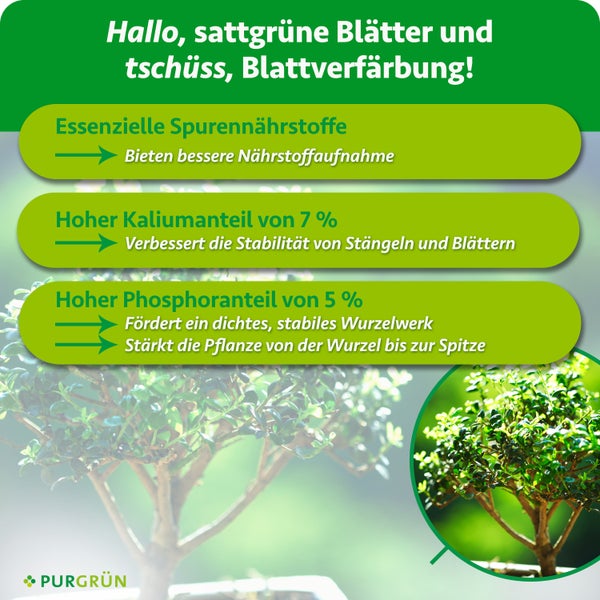 Purgrün Bonsai Dünger Konzentrat 1 Liter Flasche mit Dosierkappe für 200 Liter Gießwasser für gesundes Pflanzenwachstum.