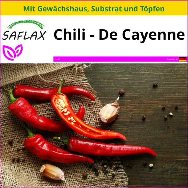 SAFLAX Anzucht Set - Chili - De Cayenne - Capsicum annum - 20 Samen - Mit Mini-Gewächshaus, Anzuchtsubstrat und 2 Töpfen