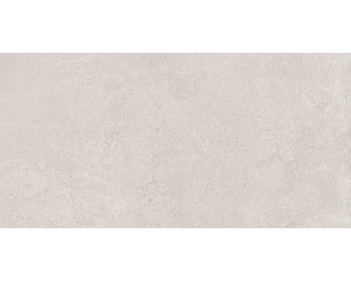 Wand- und Bodenfliese Europa Light Grey 31x62cm